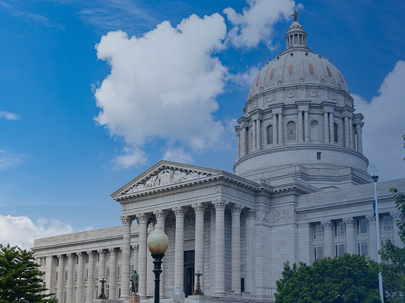 Discover revX™, the Only Cloud-Native SaaS Platform for Governments